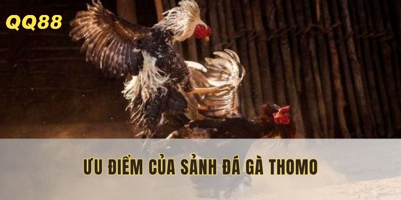 Tham gia thoải mái, cá cược thả ga